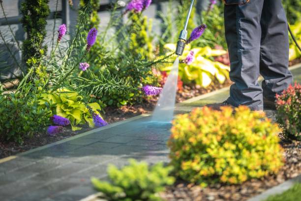 Best Gutter Cleaning  in Junction City, KY