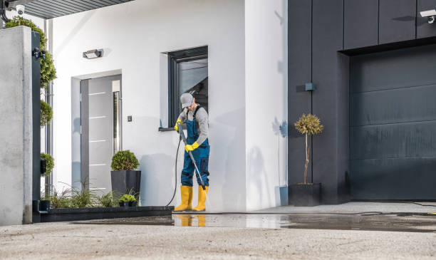Best Soft Washing  in Junction City, KY
